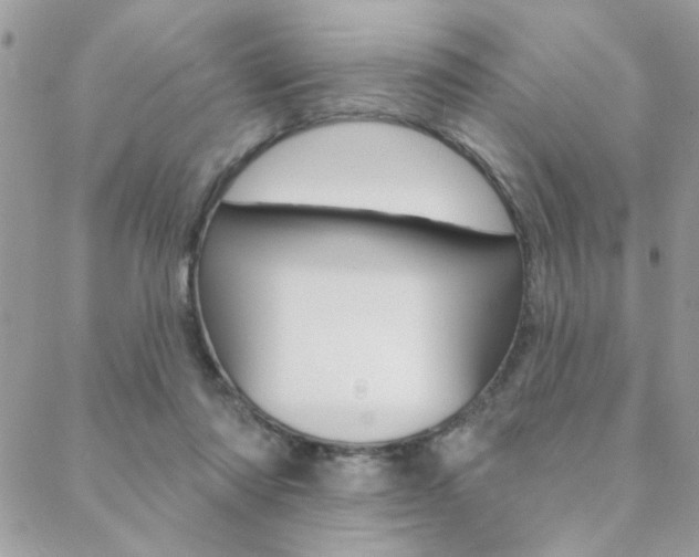 X0000089440310200706151018