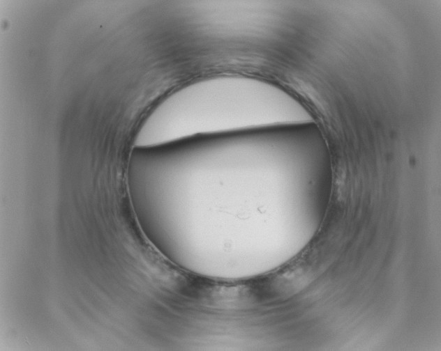 X0000089440314200706151018