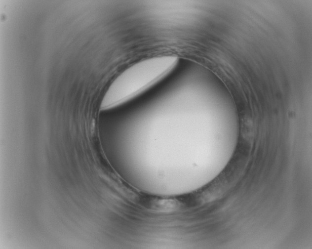 X0000089440324200706151018
