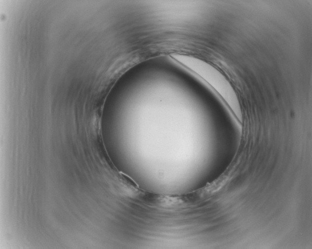 X0000089440333200706151017