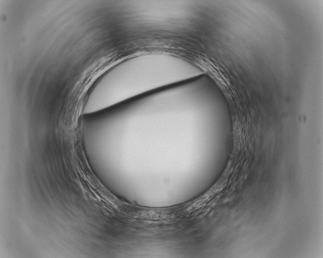 X0000089440338200706151017