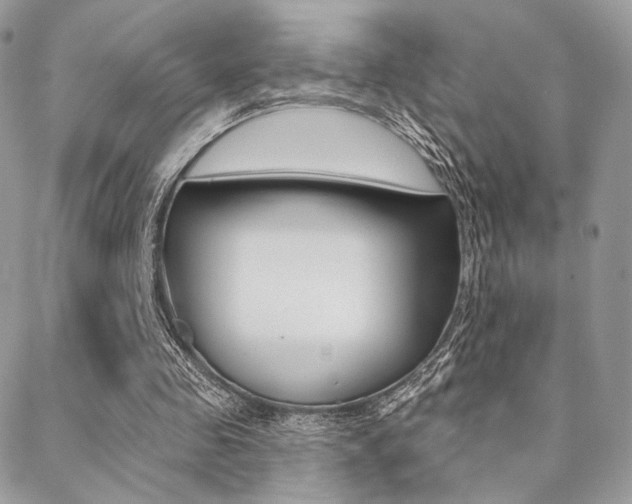 X0000089440341200706151017