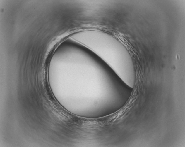 X0000089440342200706151017