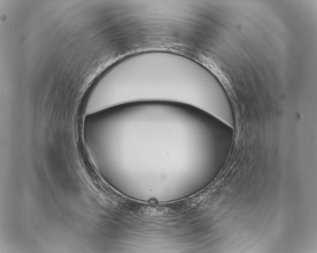 X0000089440346200706151017