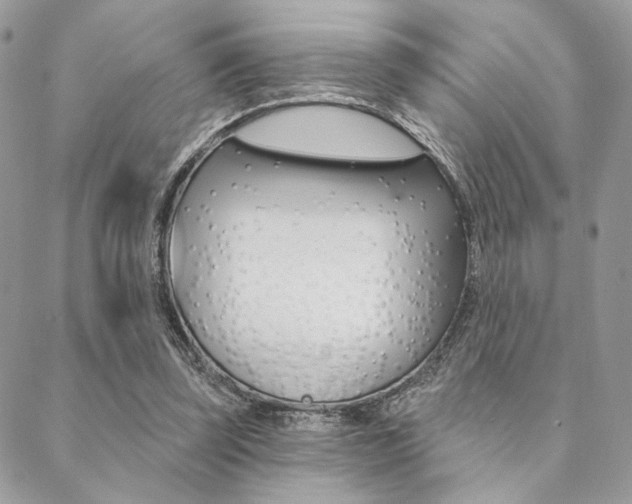 X0000089440347200706151017