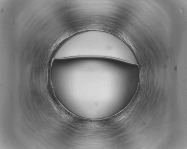 X0000089440349200706151017