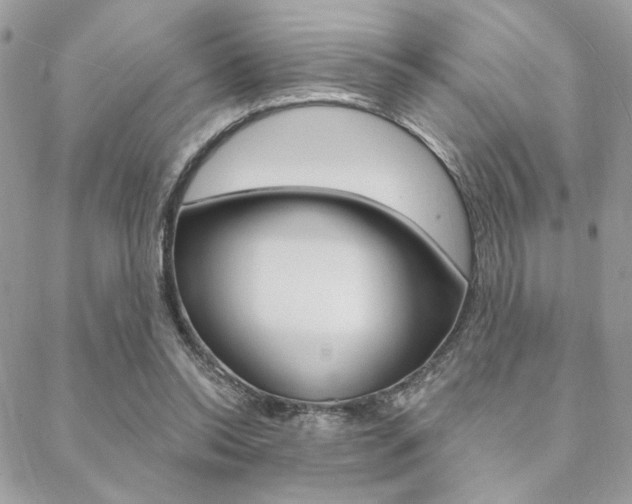 X0000089440350200706151017