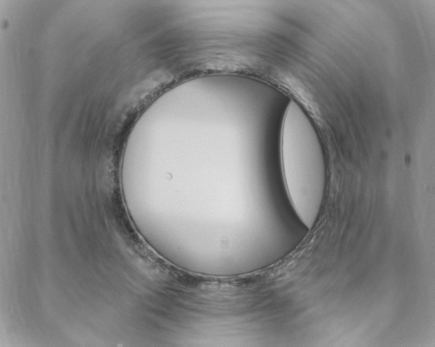 X0000089440354200706151017