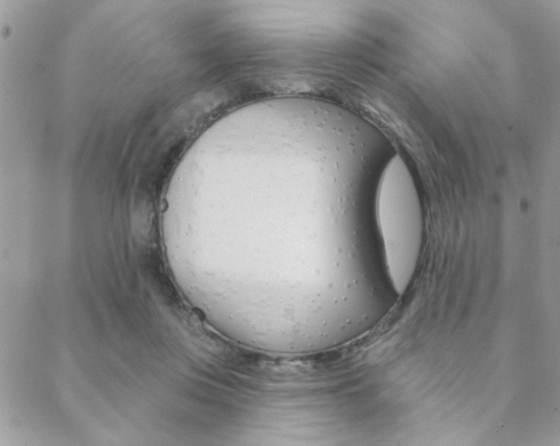 X0000089440359200706151017