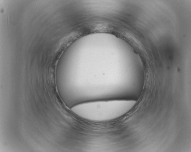 X0000089440361200706151017