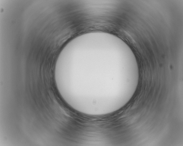 X0000089440364200706151017