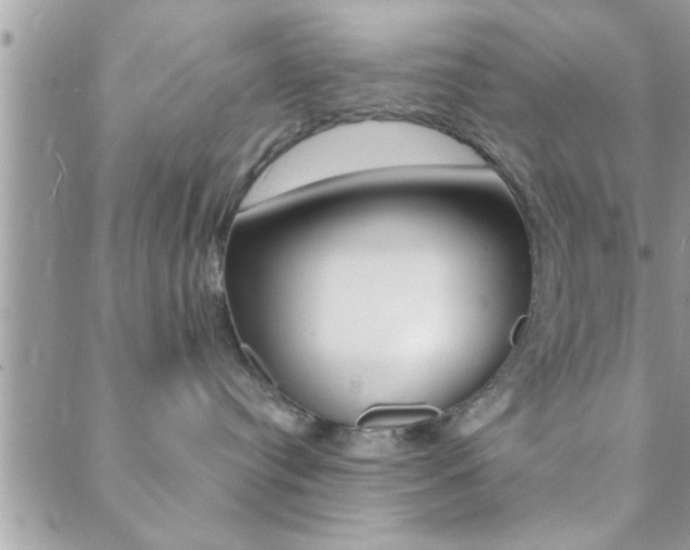 X0000089440384200706151017