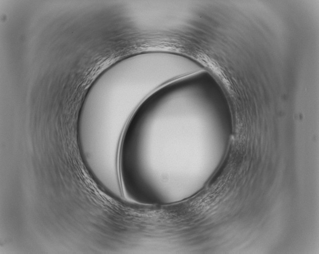 X0000089440385200706151017
