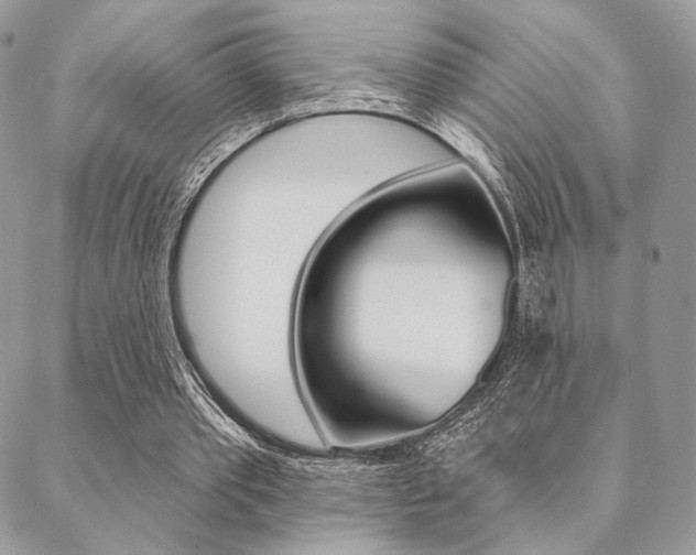 X0000089440389200706151016