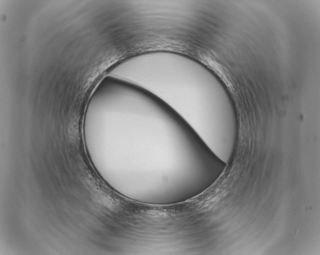 X0000089440394200706151016