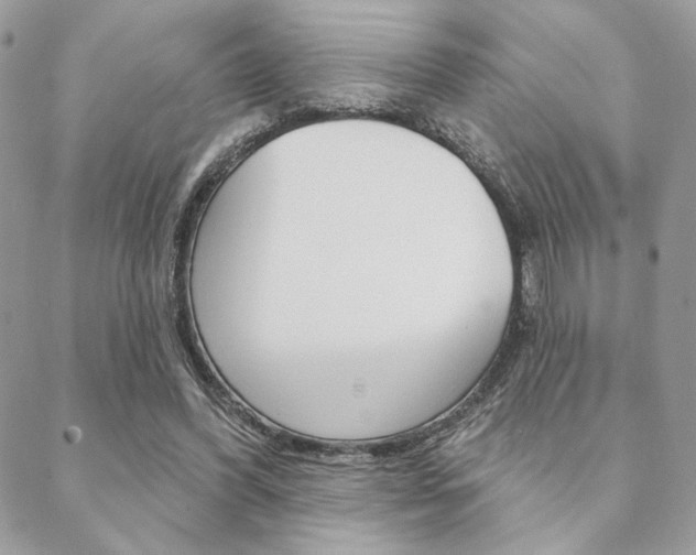 X0000089440396200706151016