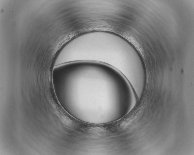 X0000089440397200706151016