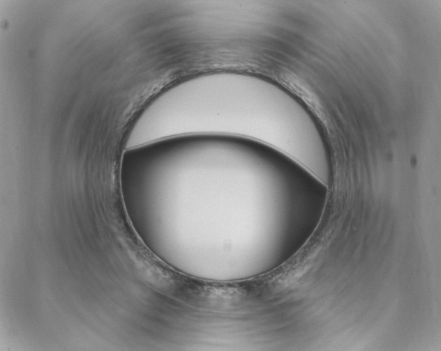X0000089440401200706151016