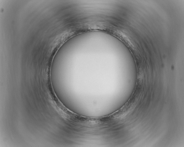 X0000089440402200706151016