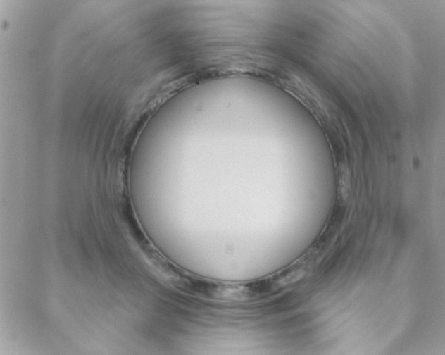 X0000089440410200706151016