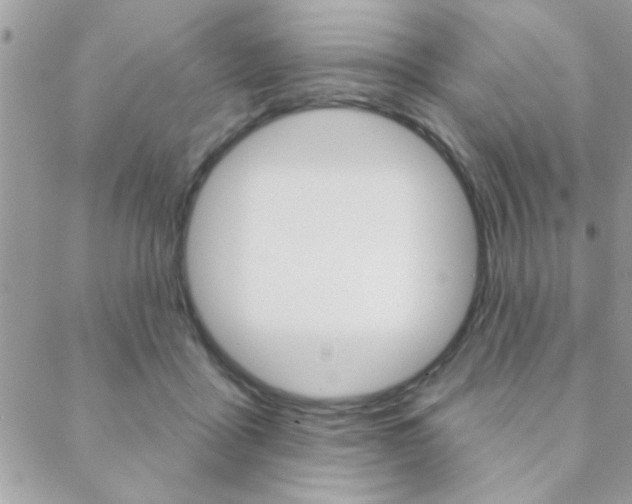 X0000089440411200706151016