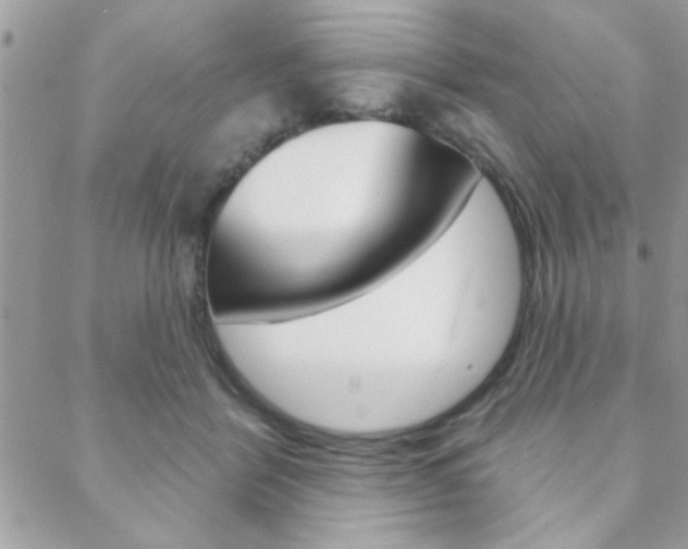 X0000089440412200706151016