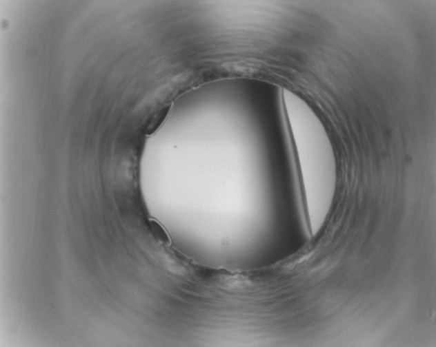 X0000089440424200706151016
