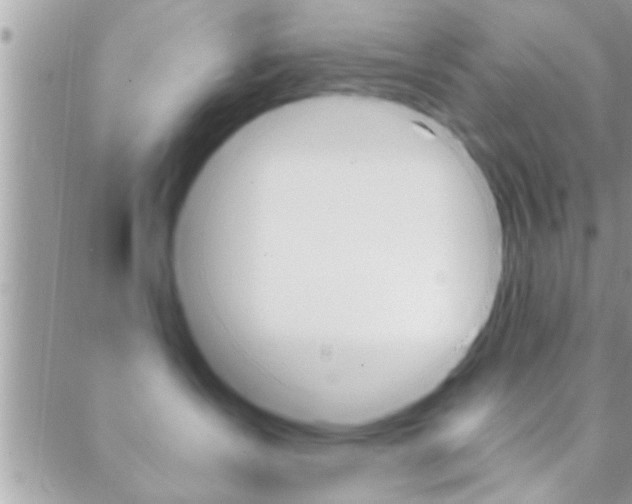 X0000089440431200706151016