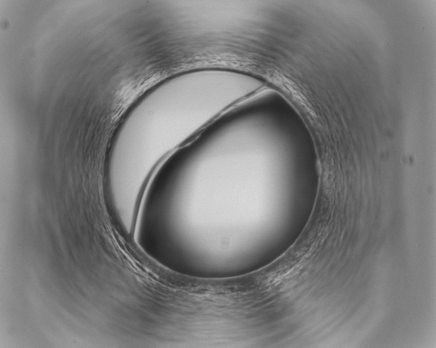 X0000089440434200706151015