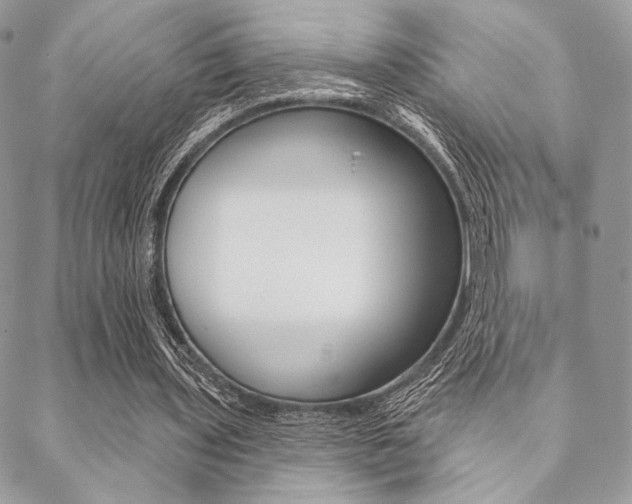 X0000089440435200706151015