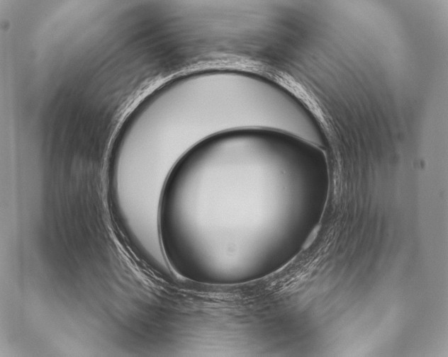 X0000089440436200706151015