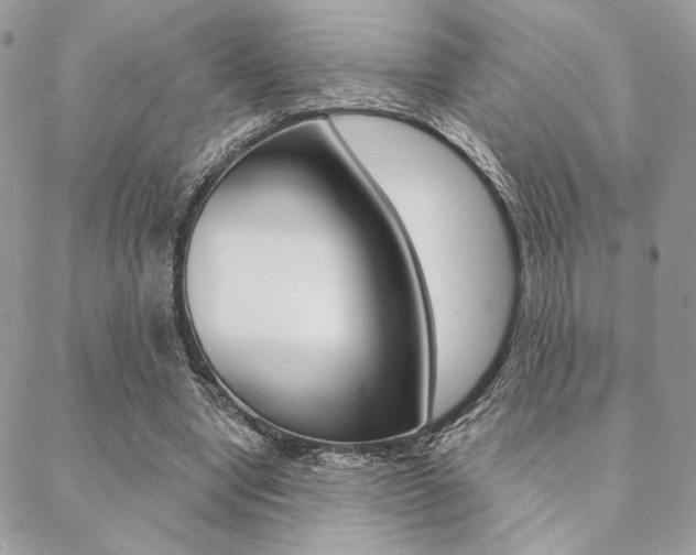 X0000089440442200706151015