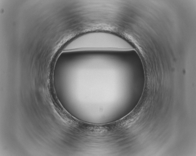 X0000089440443200706151015