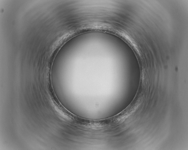 X0000089440445200706151015