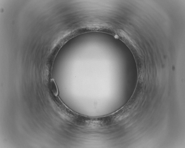 X0000089440448200706151015