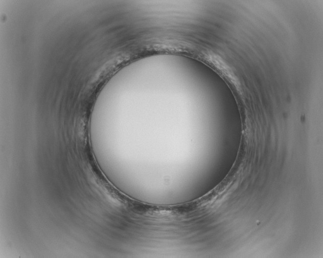 X0000089440449200706151015