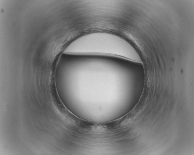 X0000089440451200706151015
