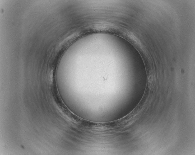 X0000089440454200706151015