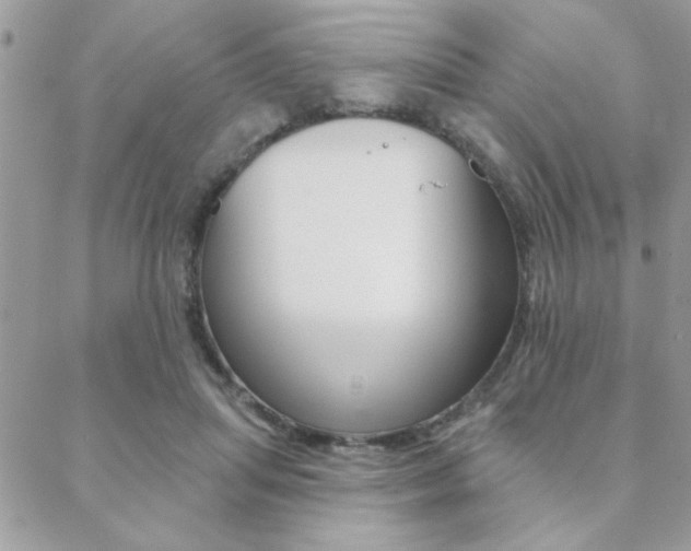 X0000089440455200706151015