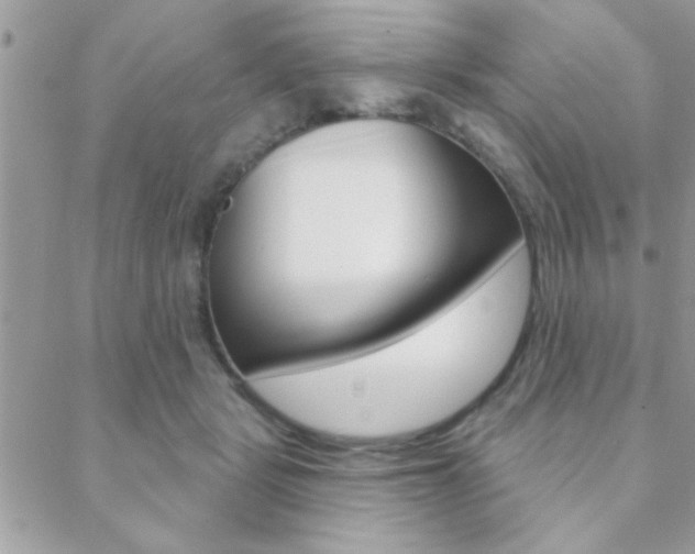 X0000089440461200706151015