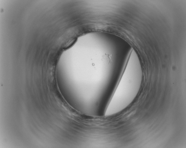 X0000089440462200706151015
