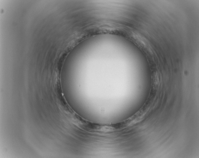 X0000089440463200706151015