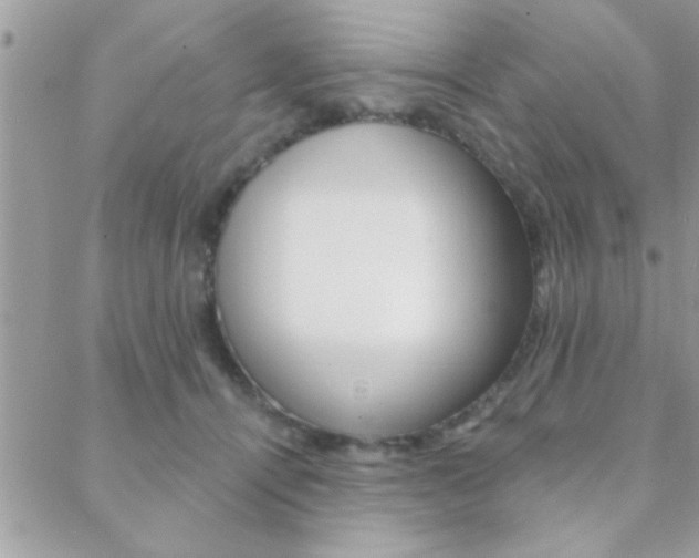 X0000089440464200706151015