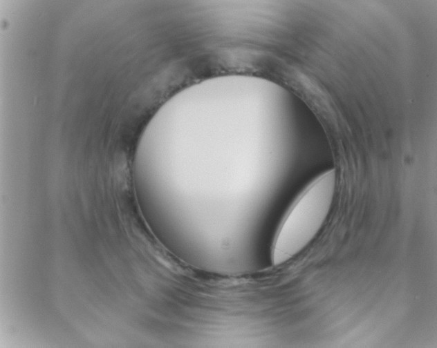 X0000089440465200706151016