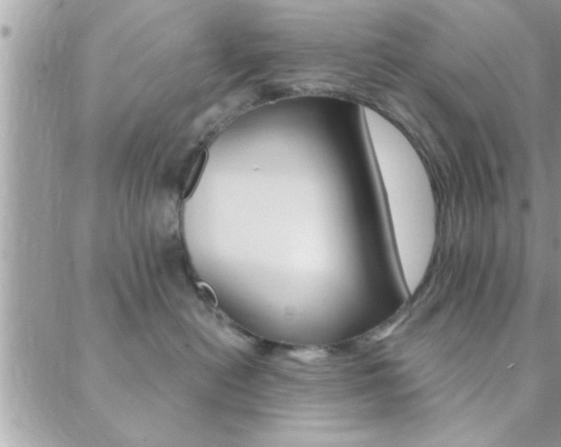 X0000089440478200706151016
