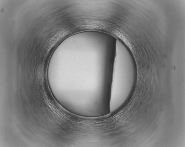 X0000089440482200706151015
