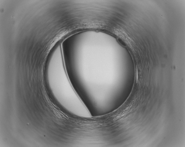 X0000089440483200706151015