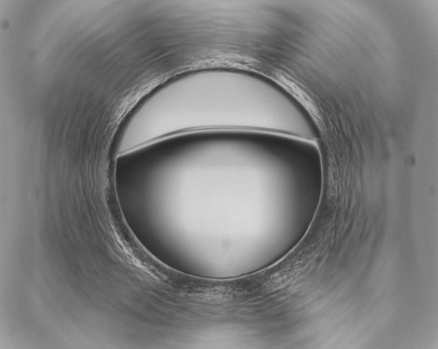 X0000089440485200706151015