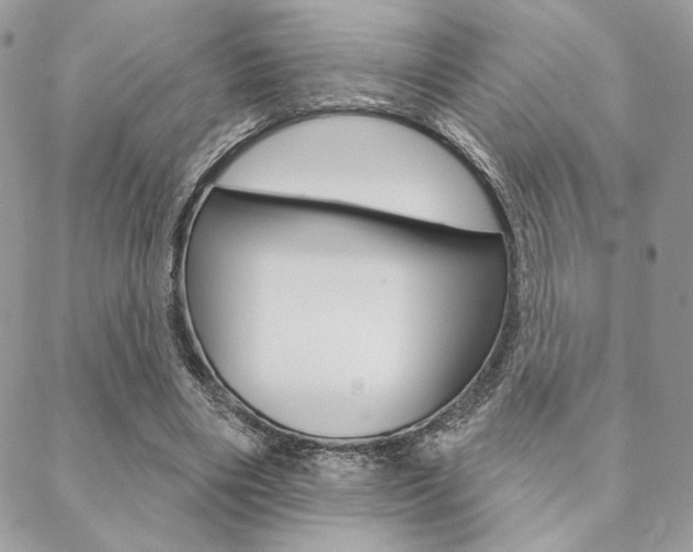 X0000089440490200706151015