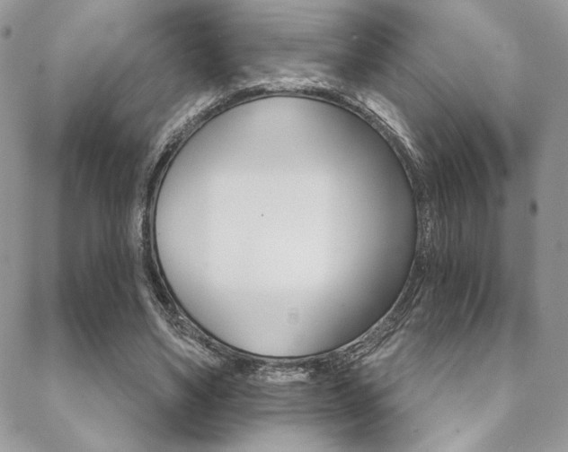 X0000089440491200706151015